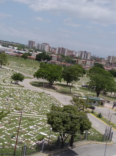 Cementerio Metropolitano