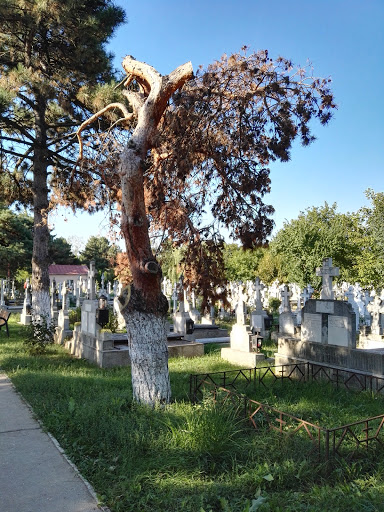 Cimitirul Străuleşti 2