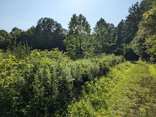 Blendon Woods Metro Park image 7