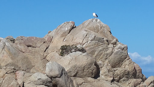 Golf Course «Monterey Peninsula Dunes Golf Course», reviews and photos, 3000 Club Rd, Pebble Beach, CA 93953, USA