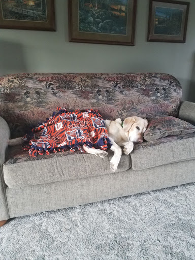 4359 N Seymour Rd, Flushing, MI 48433, USA