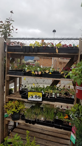 Grocery Store «Grocery Outlet Bargain Market», reviews and photos, 960 Roosevelt Ave, Enumclaw, WA 98022, USA