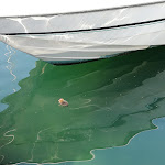 Photo n°2 de l'avis de Sabine.h fait le 02/05/2019 à 13:26 sur le  Bar Osteria al Porto di Villa à Gargnano