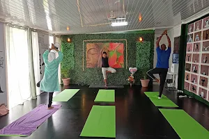 Namaste Yoga Studio image