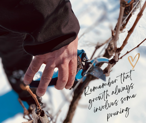 Vineyard «Millner Heritage Vineyard & Winery», reviews and photos, 32025 MN-15, Kimball, MN 55353, USA