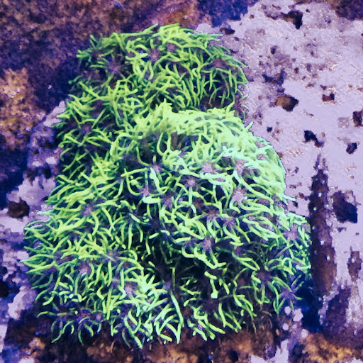 Pet Store «Pets World», reviews and photos, 147 Bridge St, Weymouth, MA 02191, USA