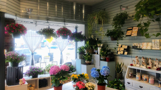 Florist «Lollipops & Roses Florist», reviews and photos, 450 Salem St, Medford, MA 02155, USA