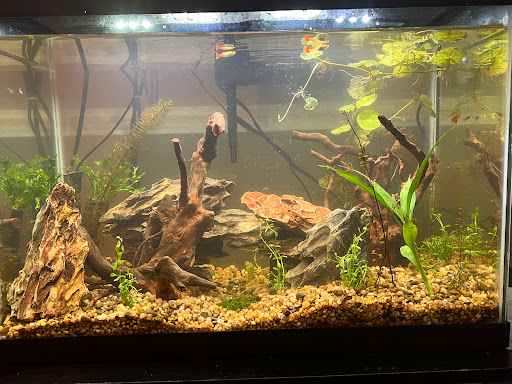 Tropical Fish Store «Midway Tropical Fish & Pets», reviews and photos, 24101 Pacific Hwy S, Kent, WA 98032, USA