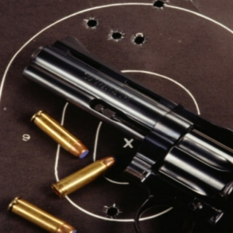 Waggenspack Guns LLC, 13390 Leblanc Rd, Gonzales, LA 70737, USA, 