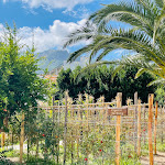 Photo n°12 de l'avis de Giulia.e fait le 05/08/2021 à 09:15 sur le  Botania Relais & Spa à Forio