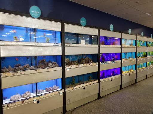 Pet Supply Store «Petco Animal Supplies», reviews and photos, 18200 NW Evergreen Pkwy, Beaverton, OR 97006, USA