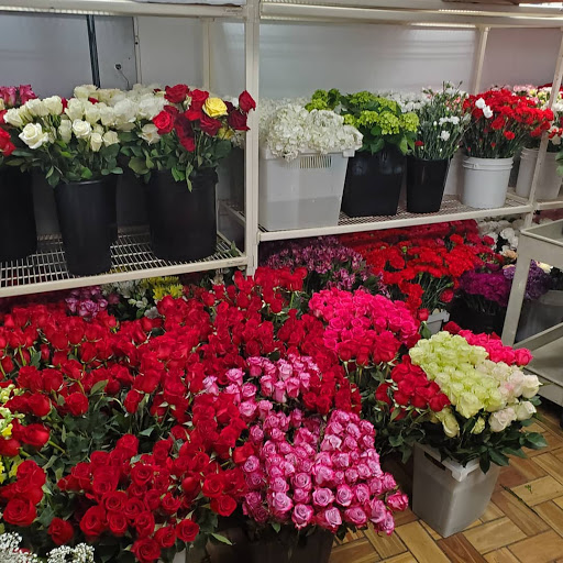 Florist «Up-Towne Flowers & Gift Shoppe», reviews and photos, 2145 W Dublin Granville Rd, Worthington, OH 43085, USA
