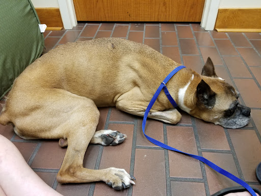 Brandywine Veterinary Hospital image