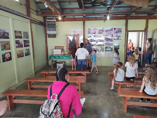 Orchard «Tuttle Orchards», reviews and photos, 5717 N 300 W, Greenfield, IN 46140, USA