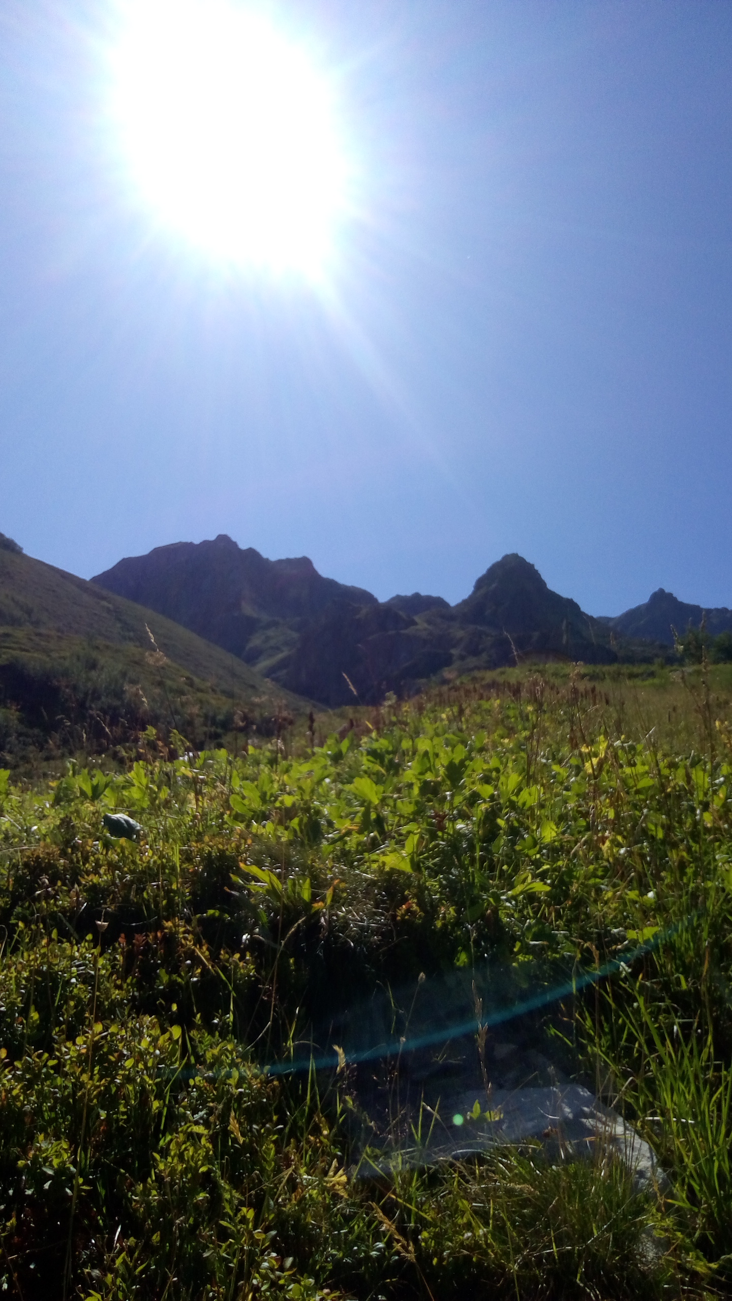 Photo n° 8 de l'avis de sylvain.y fait le 25/08/2019 à 18:30