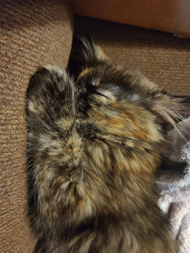 10712 E Harry St, Wichita, KS 67207, USA