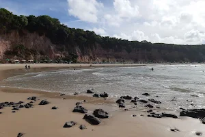 Praia Baía dos Golfinhos Pipa image