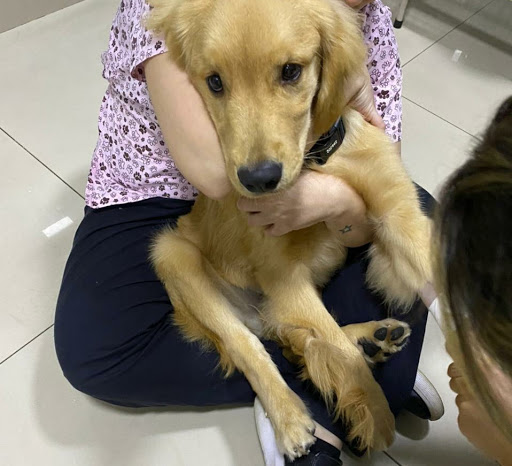 Hospital Veterinário Cura em São Paulo - SP
