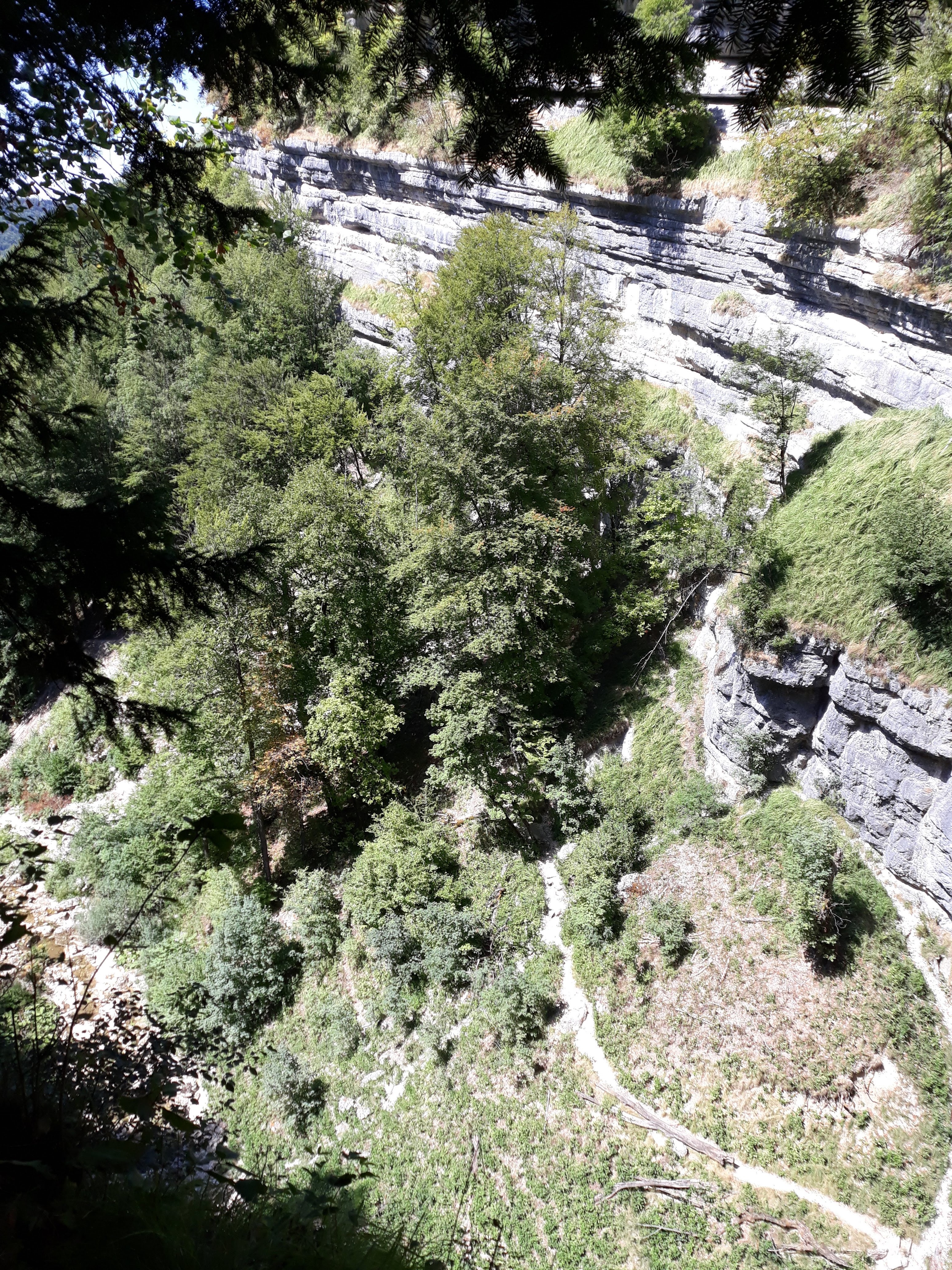Photo n° 4 de l'avis de VTT.� fait le 18/08/2018 à 18:49