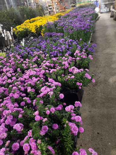 Home Improvement Store «The Home Depot», reviews and photos, 3849 S Delsea Dr, Vineland, NJ 08360, USA