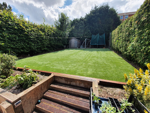 Ants Artificial Grass and Groundwork