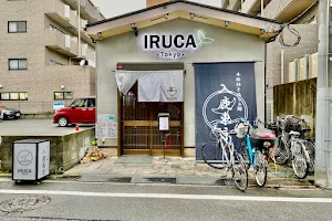 Iruka Tokyo Main Store image