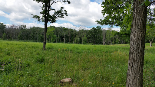 Window Tint Countryside, IL