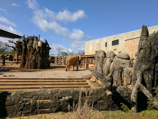 Zoo «Knoxville Zoological Gardens», reviews and photos, 3500 Knoxville Zoo Dr, Knoxville, TN 37914, USA