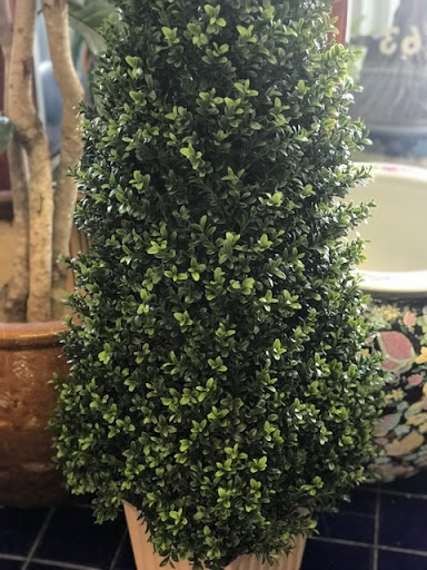 Florist «Flower City Florist», reviews and photos, 917 N Federal Hwy, Fort Lauderdale, FL 33304, USA