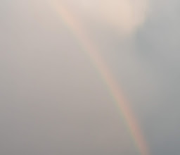 Grand Park City Towers photo