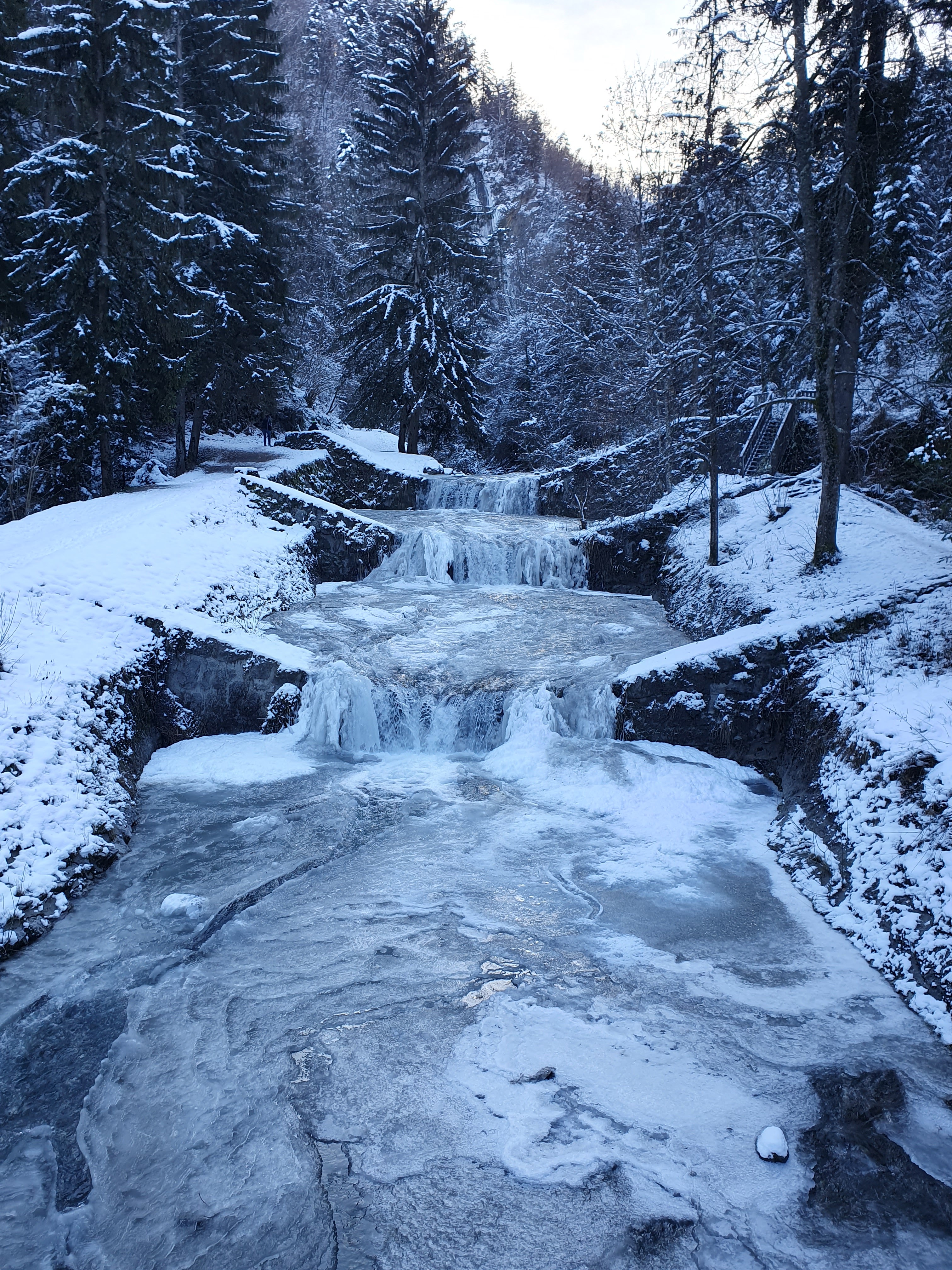 Photo n° 1 de l'avis de Sylvie.h fait le 28/01/2023 à 15:37