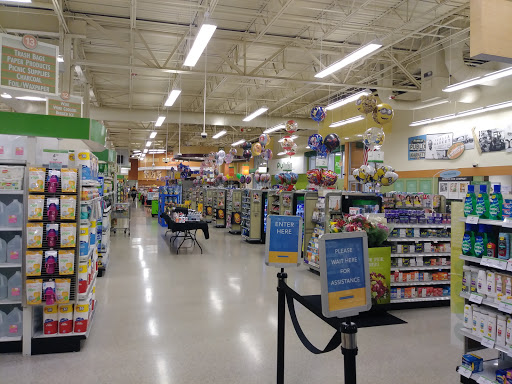 Supermarket «Publix Super Market at Pleasant Hill Commons», reviews and photos, 3343 S Orange Blossom Trail, Kissimmee, FL 34746, USA