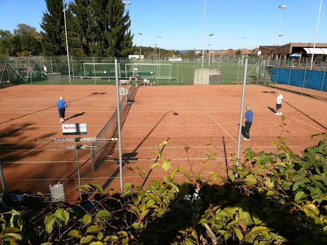 Rezensionen über Tennisclub Wander Bern / Köniz in Bern - Sportstätte
