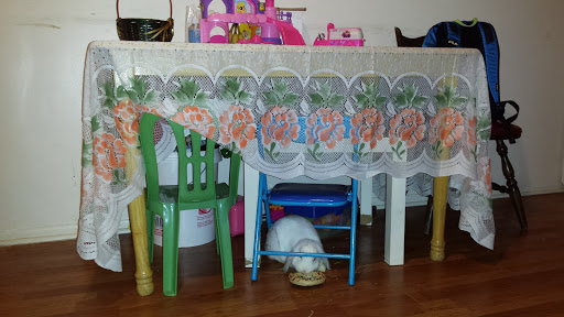 Title Company «Assurance Abstract», reviews and photos