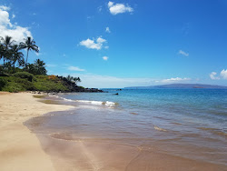 Palauea Beach'in fotoğrafı çok temiz temizlik seviyesi ile