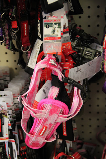 Pet Supply Store «Pet Food Gone Wild», reviews and photos, 2415 Southern Blvd SE, Rio Rancho, NM 87124, USA