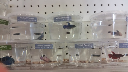 Pet Supply Store «Petco Animal Supplies», reviews and photos, 391 W Irving Park Rd, Wood Dale, IL 60191, USA