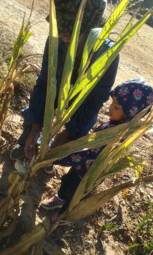 Christmas Tree Farm «Sleepy Hollow Farm & Escape Woods», reviews and photos, 628 Sleepy Hollow Rd, Powder Springs, GA 30127, USA