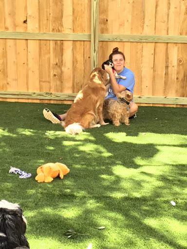 Pet Boarding Service «All About Pets», reviews and photos, 130 Arrow Rd #102, Hilton Head Island, SC 29928, USA