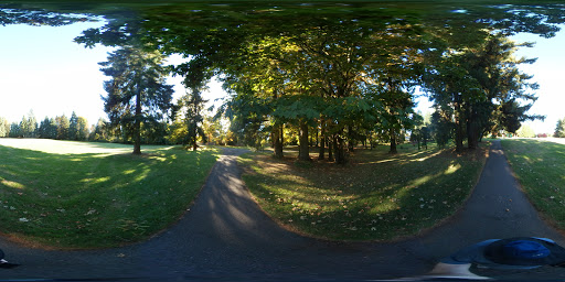 Park «Mark Twain Park», reviews and photos, 10625 132nd Ave NE, Kirkland, WA 98033, USA