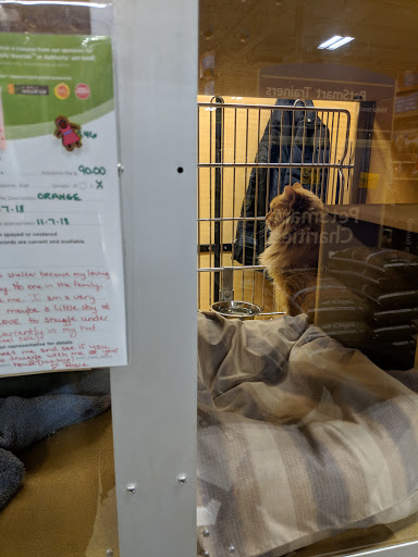Pet Supply Store «PetSmart», reviews and photos, 57 W Aylesbury Rd, Lutherville, MD 21093, USA