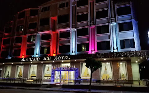 Grand Arı Hotel image