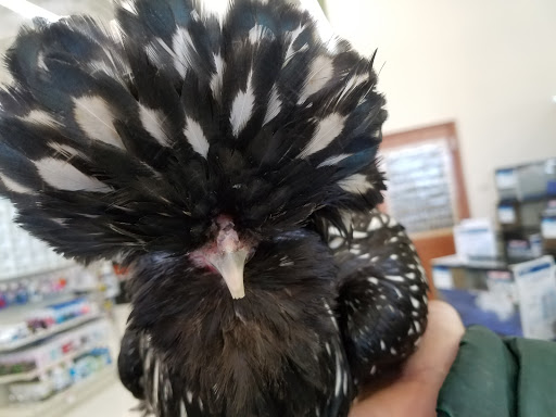 Pet Supply Store «Pet Supplies Plus», reviews and photos, 2155 Delaware Ave, Buffalo, NY 14216, USA