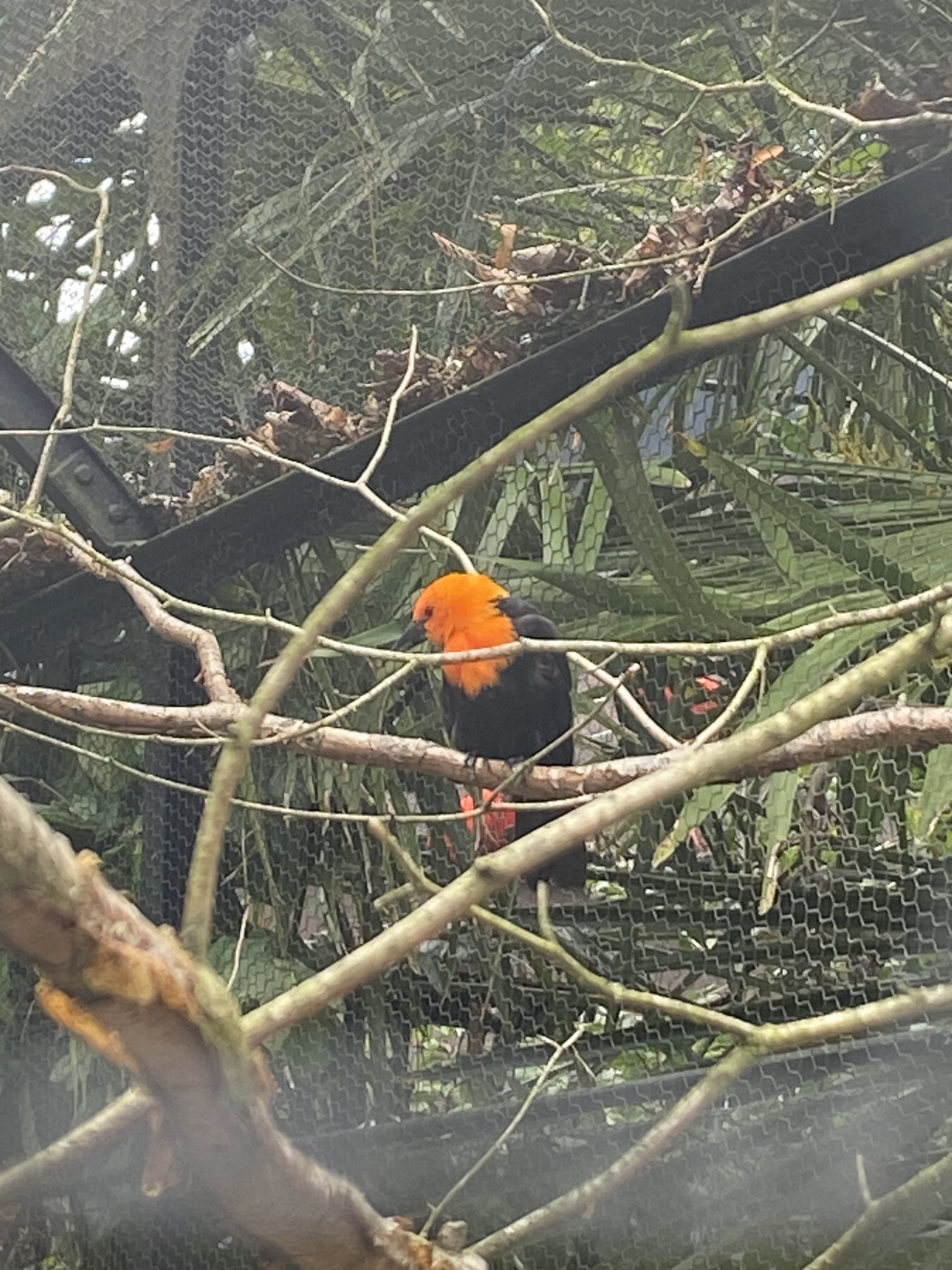 Photo n° 28 de l'avis de Mickael.e fait le 11/08/2023 à 05:54