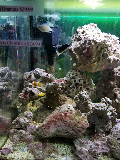 Pet Store «Aqualand Aquarium Center», reviews and photos, 5355 Chicago Ave, Minneapolis, MN 55417, USA