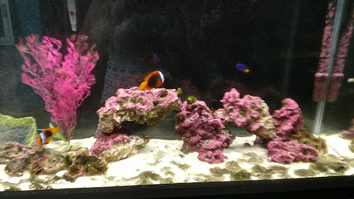 Tourist Attraction «IMAG History & Science Center (formerly Imaginarium Science Center)», reviews and photos, 2000 Cranford Ave, Fort Myers, FL 33916, USA