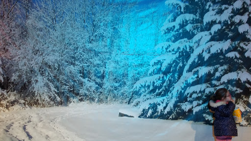 Stadium «Skylands Stadium», reviews and photos, 94 Championship Place, Augusta, NJ 07822, USA