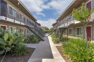 Butterfly Grove Apartments image