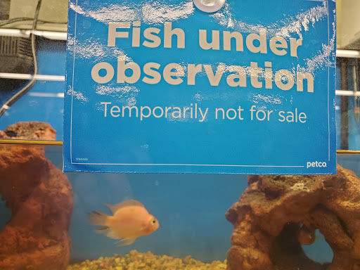 Pet Supply Store «Petco Animal Supplies», reviews and photos, 1820 N Tomahawk Island Dr, Portland, OR 97217, USA