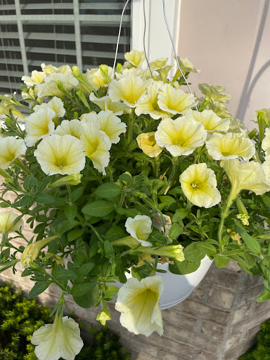 Garden Center «English Gardens», reviews and photos, 44850 Garfield Rd, Charter Twp of Clinton, MI 48038, USA